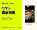 お手元の素材をSNS向けの縦動画に編集します カット・テロップ・BGM込み。まずは1本から イメージ1