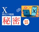 あなたのX（Twitter）をコンサルします あなたのX（Twitter）発信を3日間徹底サポートします イメージ1
