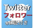 高品質Twitterフォロワー2000人増加します 高品質な外国人フォロワーを拡散して増やします！ イメージ1