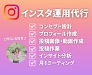 インスタグラム運用代行で目標達成まで伴走します 現役インフルエンサーがインスタグラム運用代行いたします！ イメージ1
