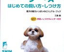 愛犬の困った！ミッシーの総合診療科で解決目指します 新規の相談者向け／【診断書】発行致します イメージ4