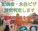 配偶者・永住・定住ビザの不許可リスクを診断します 婚姻の真実性や永住要件、年金・納税状況をプロが法務監査します イメージ1
