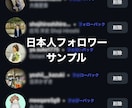 インスタで最高品質の日本人フォロワー増やします 【最近OPEN】格安×最高品質ならここ一択！減少補填付き！ イメージ2