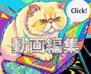 迅速・高品質▪️SNS動画編集代行します YouTube・セミナー・対談・マルチカメラ・研修動画対応 イメージ1
