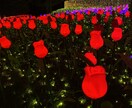 少しでも心が楽になればと思います 顔が見えなくて知らない相手だからこそ‼︎ イメージ1