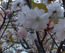 あなたの【新生活】応援します まったりお話し◎否定はしません。優しく聞きます～ イメージ5