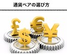 バイナリーオプション初心者のための情報を提供します バイナリーオプションを１７個のＰＤＦマニュアルで完全攻略 イメージ3