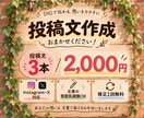 SNSで使える投稿文を3本作成します 投稿文に悩む方へ！伝わる文章作りをお手伝い イメージ3