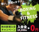 バナー・ヘッダー等、各種Web画像作成します 目を引くデザインをお手頃価格で！ イメージ7