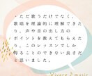 低音も高音も楽々広がる簡単ボイトレ、教えます 本来のあなたに戻り、さらに豊かな人生に変化していけます✨ イメージ8