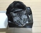アニマルコミュニケーションでメッセージを伝えます ペットの気持ちをリーディングして飼い主さんへ届けます。 イメージ1