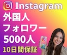 インスタ★外国人フォロワー5000人増やします ✨複数アカウント振分け可能！10日保証あり イメージ3