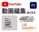 あなたの動画編集します vlog系得意です！サムネイルもお任せください イメージ1