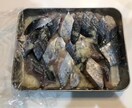 あらゆる魚の美味しい調理法を教えます 伊豆で魚屋をやっています！魚の調理法を教えます！ イメージ3
