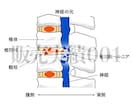 １５００円でバナーWEB画像を作ります ＳＰツール制作会社デザイナー実務３年のプロが作る格安バナー イメージ9