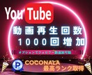 YouTube動画＋１０００再生数拡大します チャンネル登録者増加も対応可能！ イメージ1