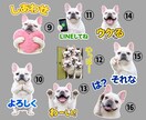 ペットの写真からLINEスタンプ作成します 世界にひとつの可愛いスタンプ作ります イメージ3
