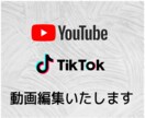 Youtube Tiktok 動画編集いたします 動画投稿を始めたいけど編集が面倒な方へ イメージ1