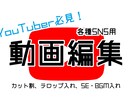 動画編集をします 元YouTuberがYouTube向けの動画編集をします。 イメージ1