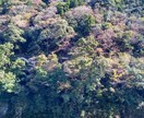 香川の観光地・観光名所・グルメの撮影代行をします そこに住む人でないとわからない絶景・グルメの写真を撮影します イメージ3