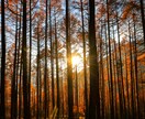 広大な自然や風景など癒される写真を提供します 高画質、高品質な風景写真など癒される写真でごさいます。 イメージ6