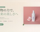 最速即日納品！LP制作を2万円から承ります テストサイトで確認後に承認！安心のLP制作 イメージ7