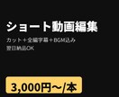 翌日納品可◎縦型ショート動画を字幕付きで編集します TikTok・リール対応｜字幕とBGM込み、3本割あり イメージ1