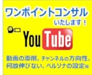 YouTubeワンポイントコンサルで相談に乗ります 伸びない理由,方向性,動画添削,ペルソナ設定等何でもお任せ！ イメージ1