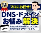 ドメイン・DNS設定のトラブル・疑問を解決します 評価5.0累計300ドメイン以上！DNS設定もお任せください イメージ1