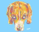 ペットをカラフルに描きます 愛する家族の動物たちを可愛く、新しいイラストに完成させます イメージ1
