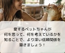愛するペットの本音を知りたい！サクサク鑑定します 【先着10名様！】実績4600件のスピード鑑定♪ イメージ6