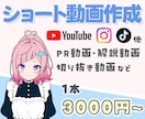 ショート動画&リール動画の編集承ります YouTube・TikTok・Instagram…など イメージ1