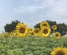 お子様の悩み相談お聞きします 思春期や不登校、ネット環境などお子様について相談したい方向け イメージ1