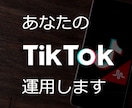 本格TikTokアカウント運用1ヶ月行います 【成果にこだわる】バズる! TikTok運用 イメージ1