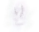 アートな一発描き＋水彩画を提供します 優しくて柔らかい、抽象的な線画 イメージ1