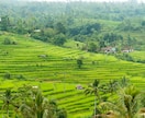 バリ島旅行相談にのります インドネシア在住歴のある私がおすすめスポットをご紹介します！ イメージ1
