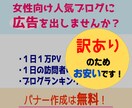 月間33万PVの人気ブログに、広告を掲載します 訳アリだから安い！バナー制作費込みで【3000円】ポッキリ イメージ1