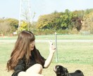 わんちゃんのしつけのご相談承ります 動物専門学校卒業、元動物看護師がしつけ教室します！ イメージ4