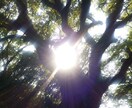 今必要なメッセージをお伝えします 悩み事や気になることについてお答えします。 イメージ3