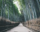 あなたの悩みや不安をじっくりお聞きします 人間関係や育児の悩みなど、なんでもお聞きしますよ イメージ1