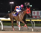 地方競馬、本日の推奨馬を教えます 南関東競馬に特化した本日の推奨馬の一覧になります。 イメージ1