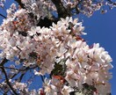 あなたの寂しさお埋めいたします 誰にも言えない思いを吐き出して下さいね。 イメージ1