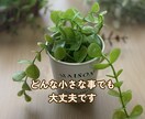 電話相談⌇雑談・悩み相談OK やさしくお聞きします 気を使わず話せる時間を大切にしています イメージ2