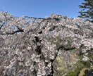 あなたのお悩み聞きます なんでも大丈夫です。お悩みに限らず、お話ください。 イメージ1