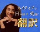 Webサイト・動画を自然な英語に翻訳・現地化します 英語ネイティブが自然な表現を英訳を提供します イメージ1