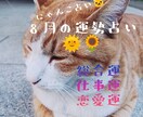 にゃんこ占いでみる8月の運勢＊ほっこり占います 心がふっと軽くなるような、8月の運勢をお届けするにゃよ イメージ1