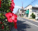 お悩み相談、話し相手が欲しい等、お話お聞きします 恋愛相談、受験・就活、悩み・愚痴……など何でもご相談下さい！ イメージ1