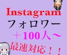 Instagramのフォロワーを増加致します 低価格で高品質なサービスを致します イメージ1