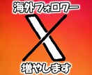 X(旧Twitter)フォロワー増やします 海外フォロワー/減少ほぼ無し/フォロワー増加 イメージ1