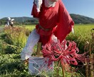 恋愛、夫婦関係、人間関係のお悩みを整理します “考えが整理され、次の一歩が見える”時間を提供します。 イメージ3